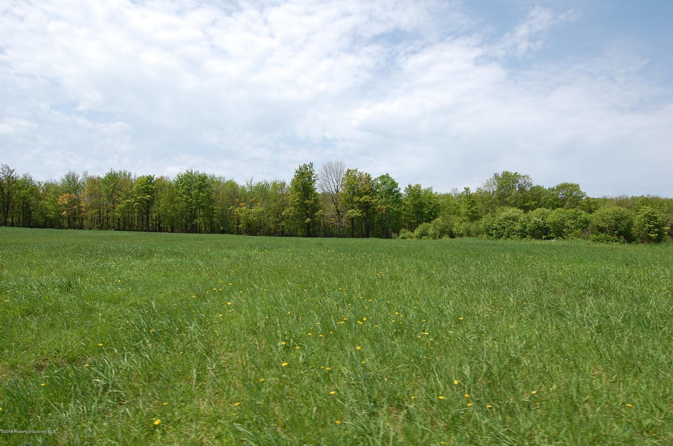 575 Dix Road Pleasant Mount, PA 18453 - Photo 6 of 11 Gallery Image 6