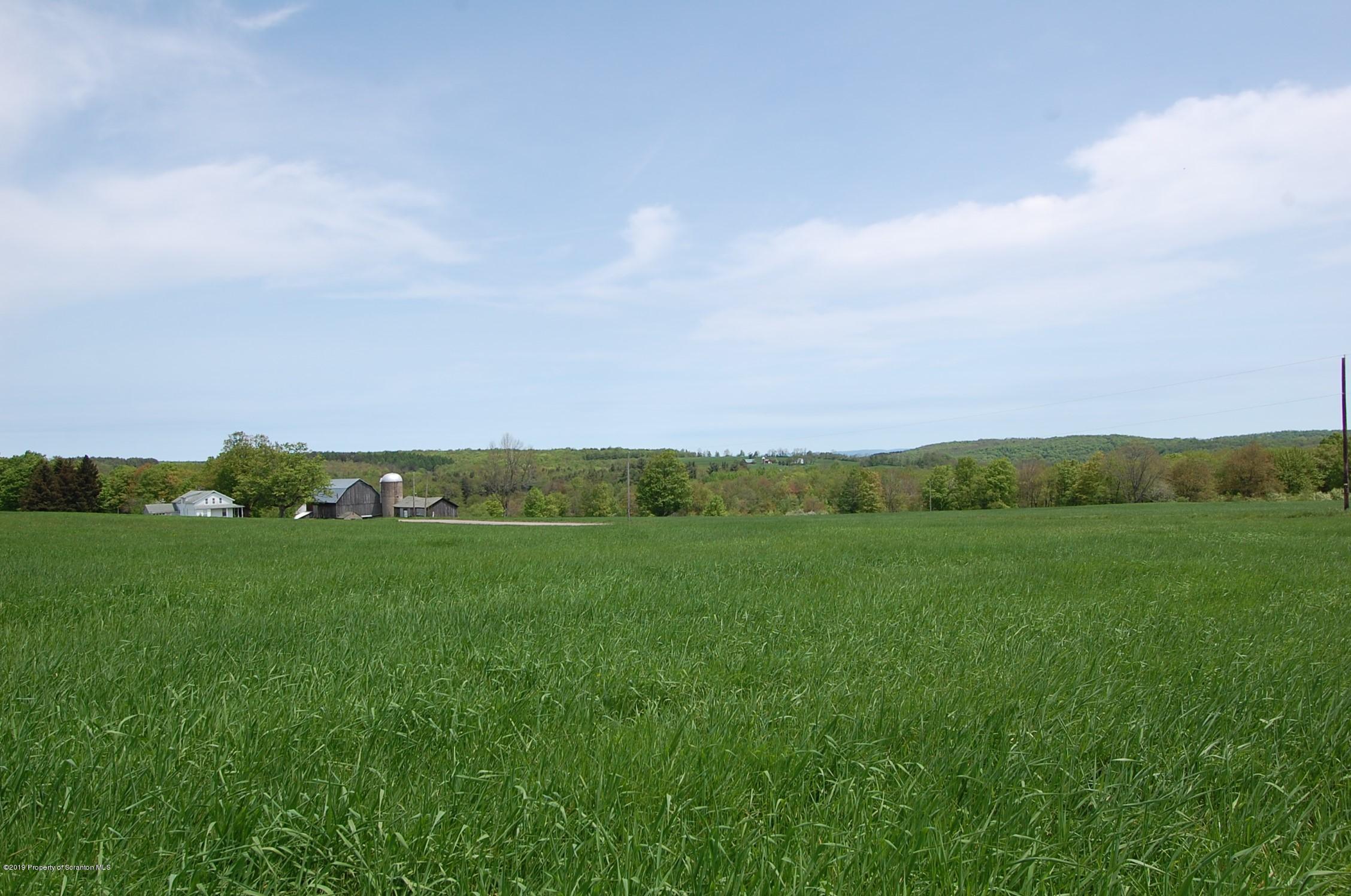 575 Dix Road Pleasant Mount, PA 18453 - Photo 7 of 11 Gallery Image 7