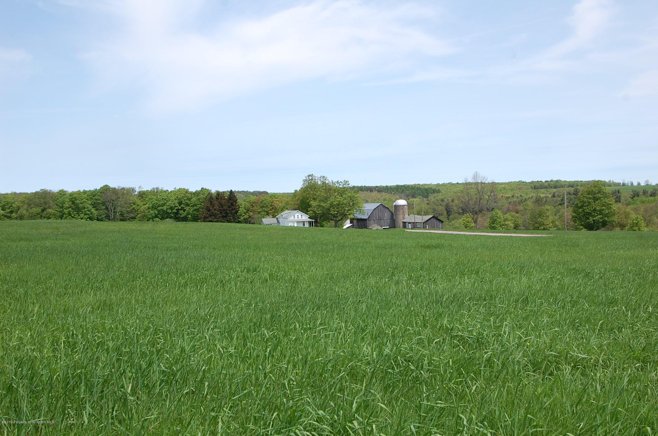 575 Dix Road Pleasant Mount, PA 18453 - Photo 8 of 11 Gallery Image 8