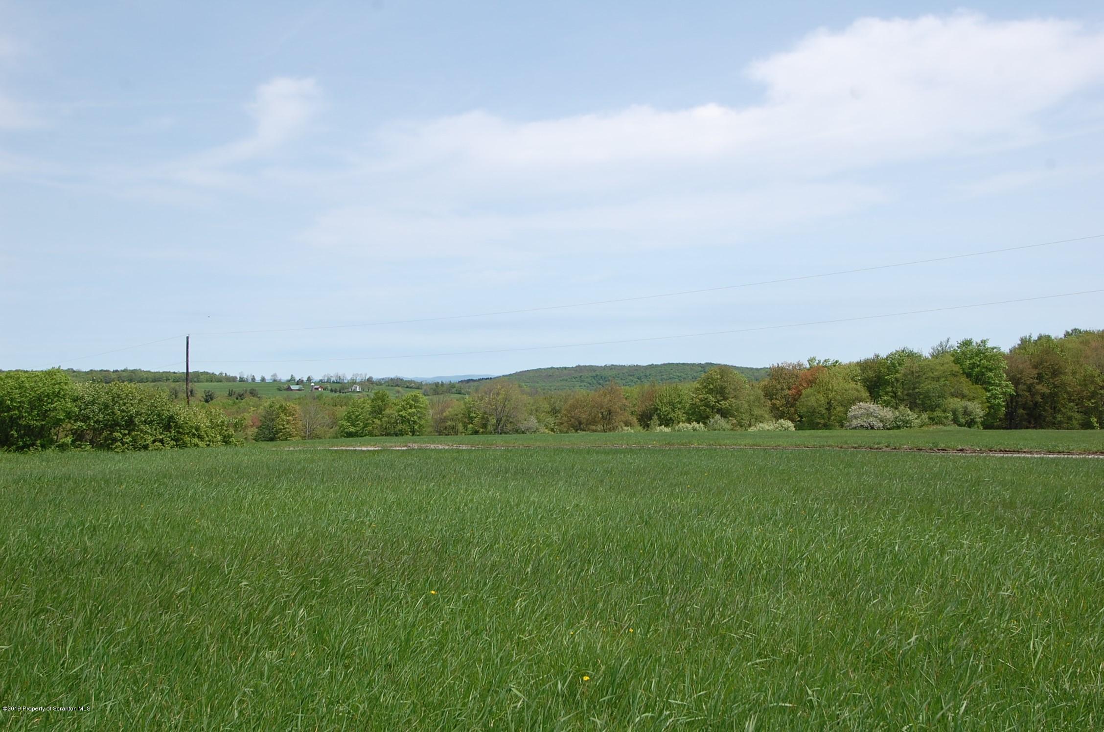 575 Dix Road Pleasant Mount, PA 18453 - Photo 9 of 11 Gallery Image 9