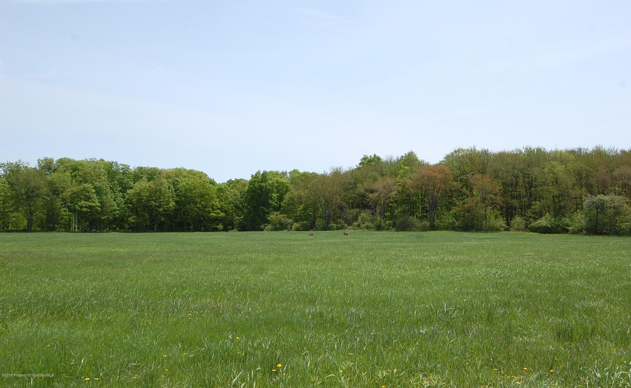 575 Dix Road Pleasant Mount, PA 18453 - Photo 10 of 11 Gallery Image 10