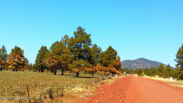 3224 Government Prairie Road Parks, AZ 86018 - Photo 23 of 27 side road view