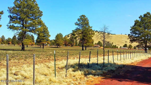 3224 Government Prairie Road Parks, AZ 86018 - Photo 24 of 27 side road view 2