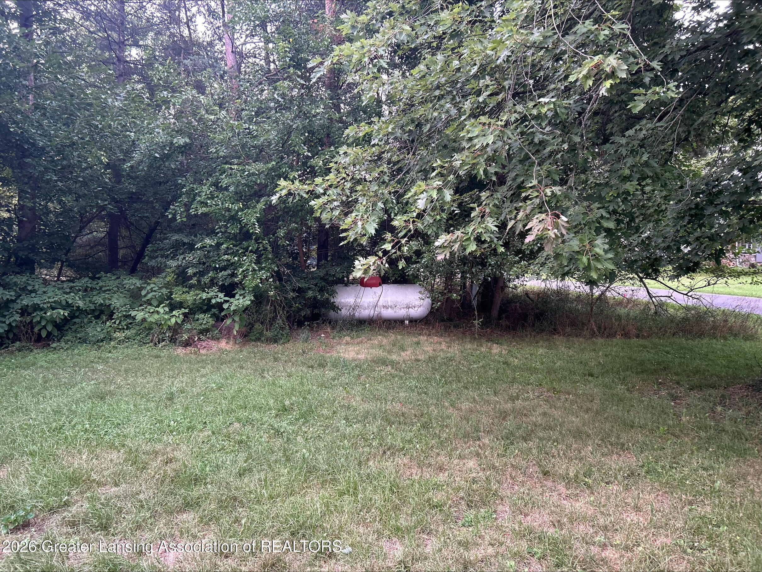 5353 North Watson Road Elsie, MI 48831 - Photo 30 of 31 processed-4A9D1CBD-CDC9-4188-9476-CDD4EF