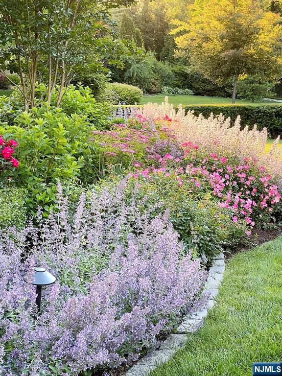 89 Douglas Road Glen Ridge, NJ 07028 - Photo 47 of 49