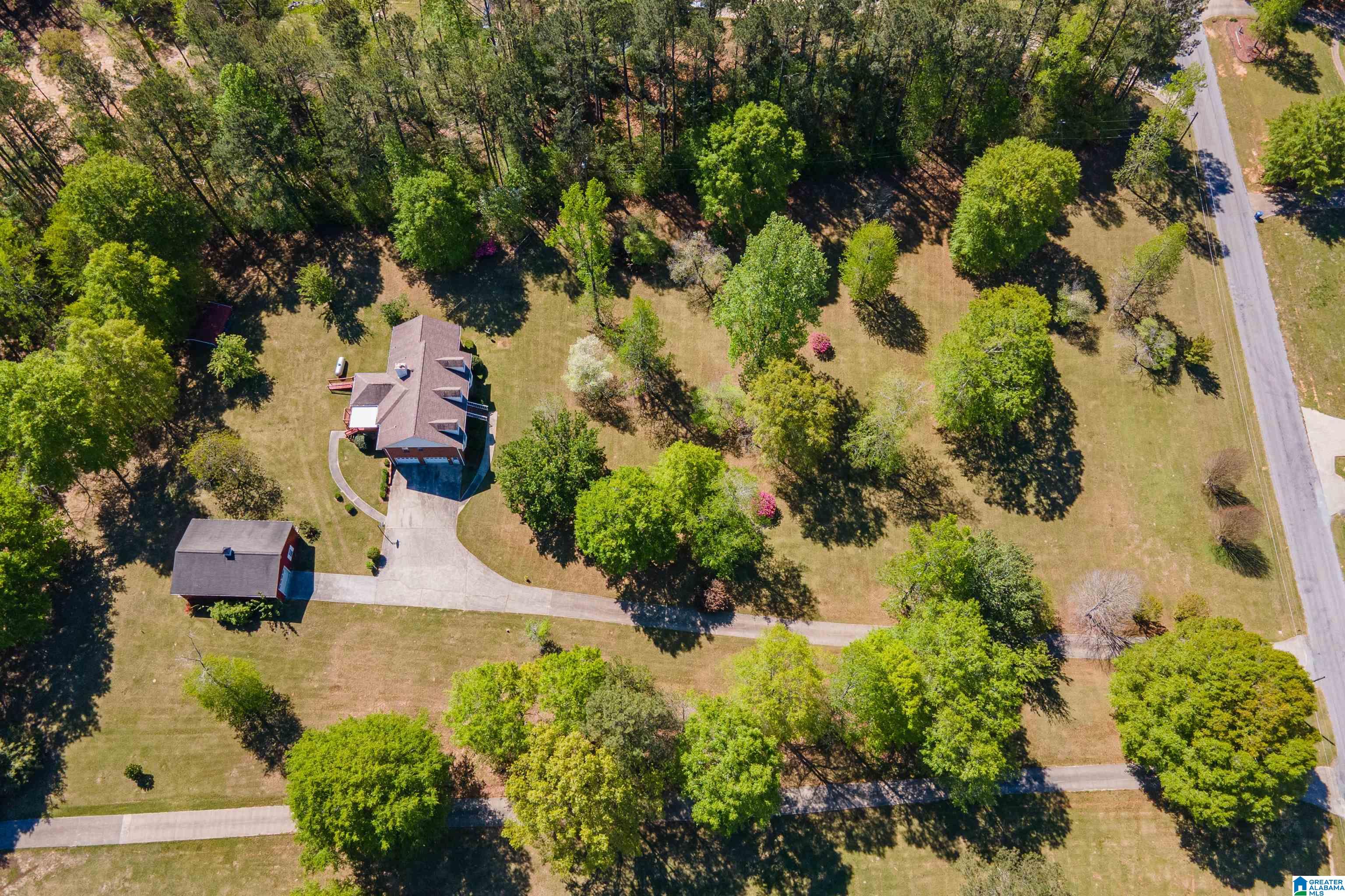 205 Beaver Ridge Circle Ashville, AL 35953 - Photo 60 of 61