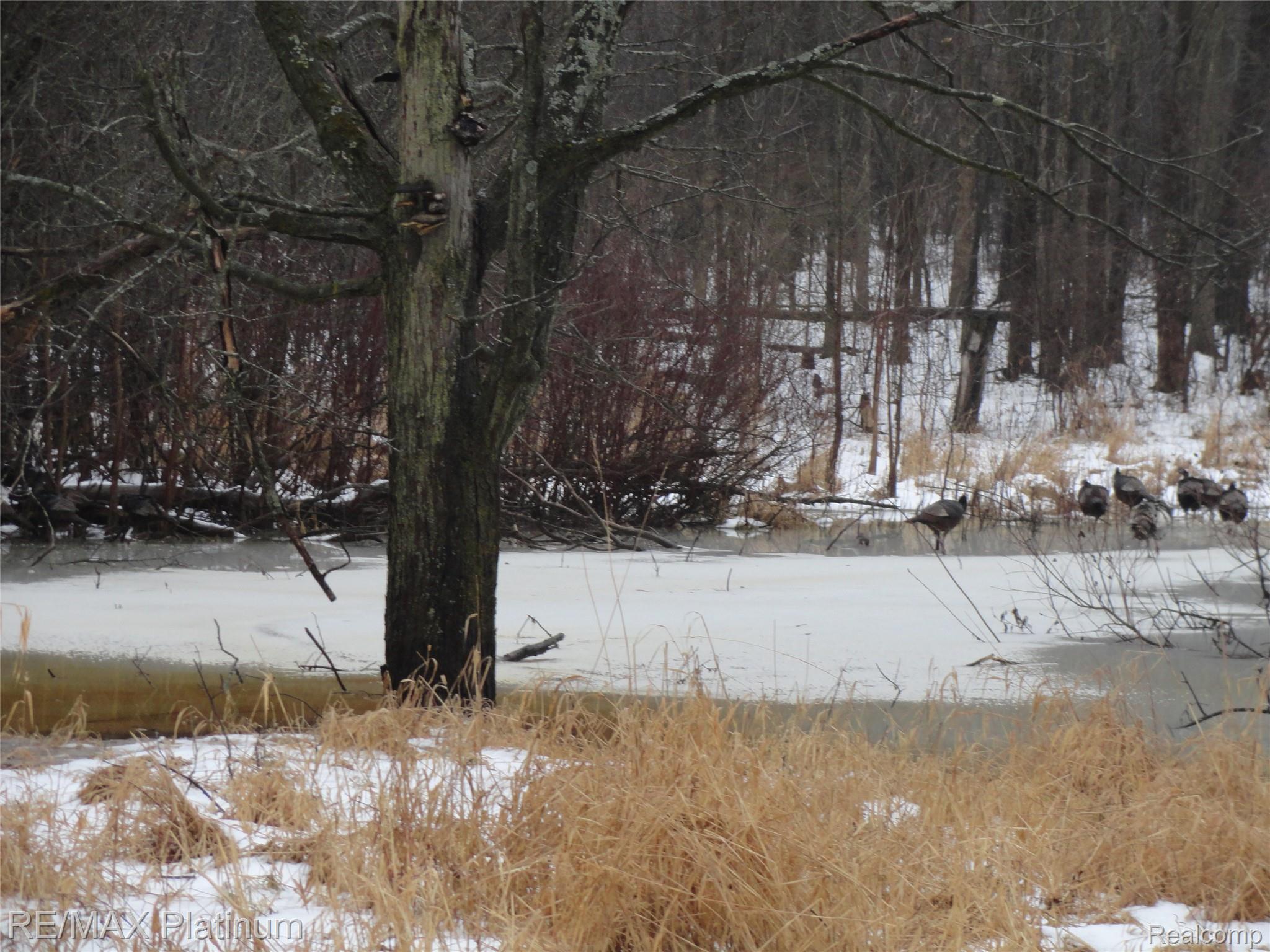 3396 East Baldwin Road Grand Blanc, MI 48439 - Photo 15 of 16 View of snowy yard