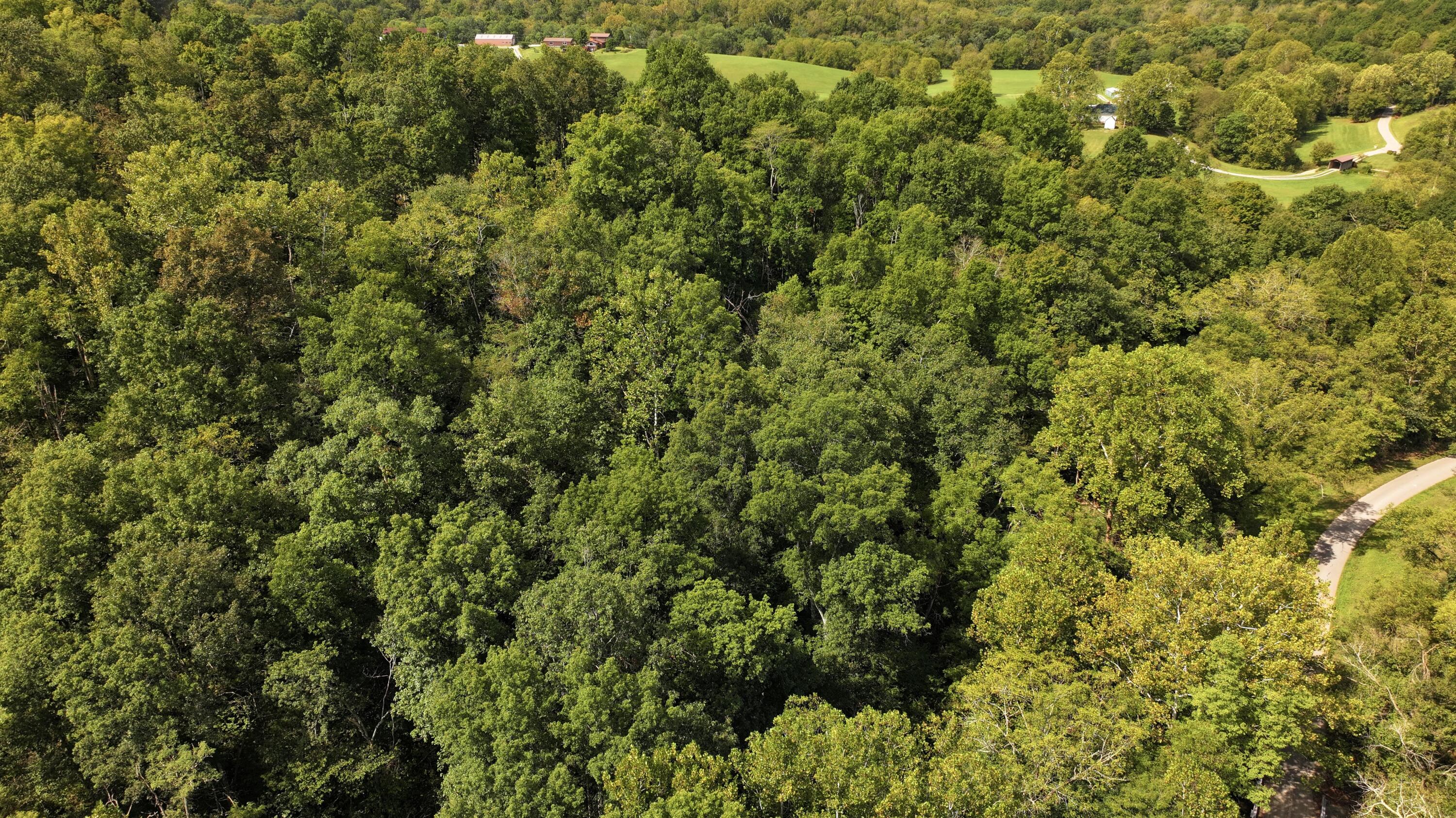 0 Pleasant Grove Road Corinth, KY 41010 - Photo 12 of 13 DJI_20260914121559_0007_D