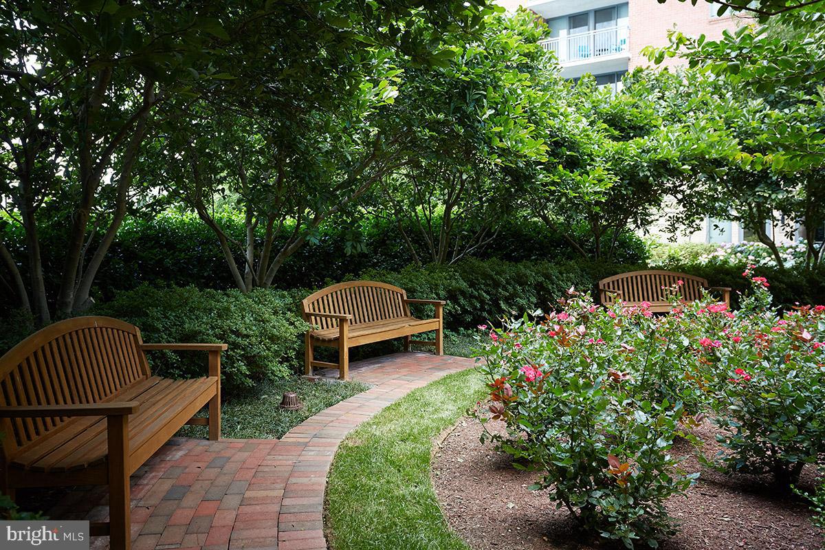 11710 Old Georgetown Road, Unit 1414 North Bethesda, MD 20852 - Photo 22 of 33 Walking Path