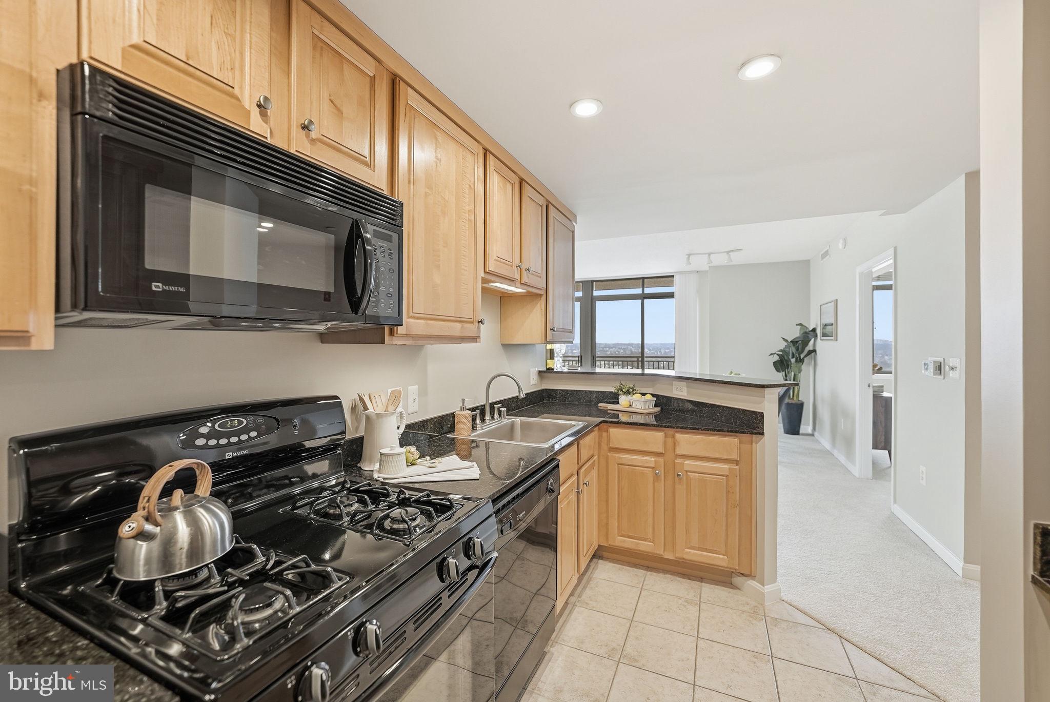 11710 Old Georgetown Road, Unit 1414 North Bethesda, MD 20852 - Photo 10 of 33 Granite countertops