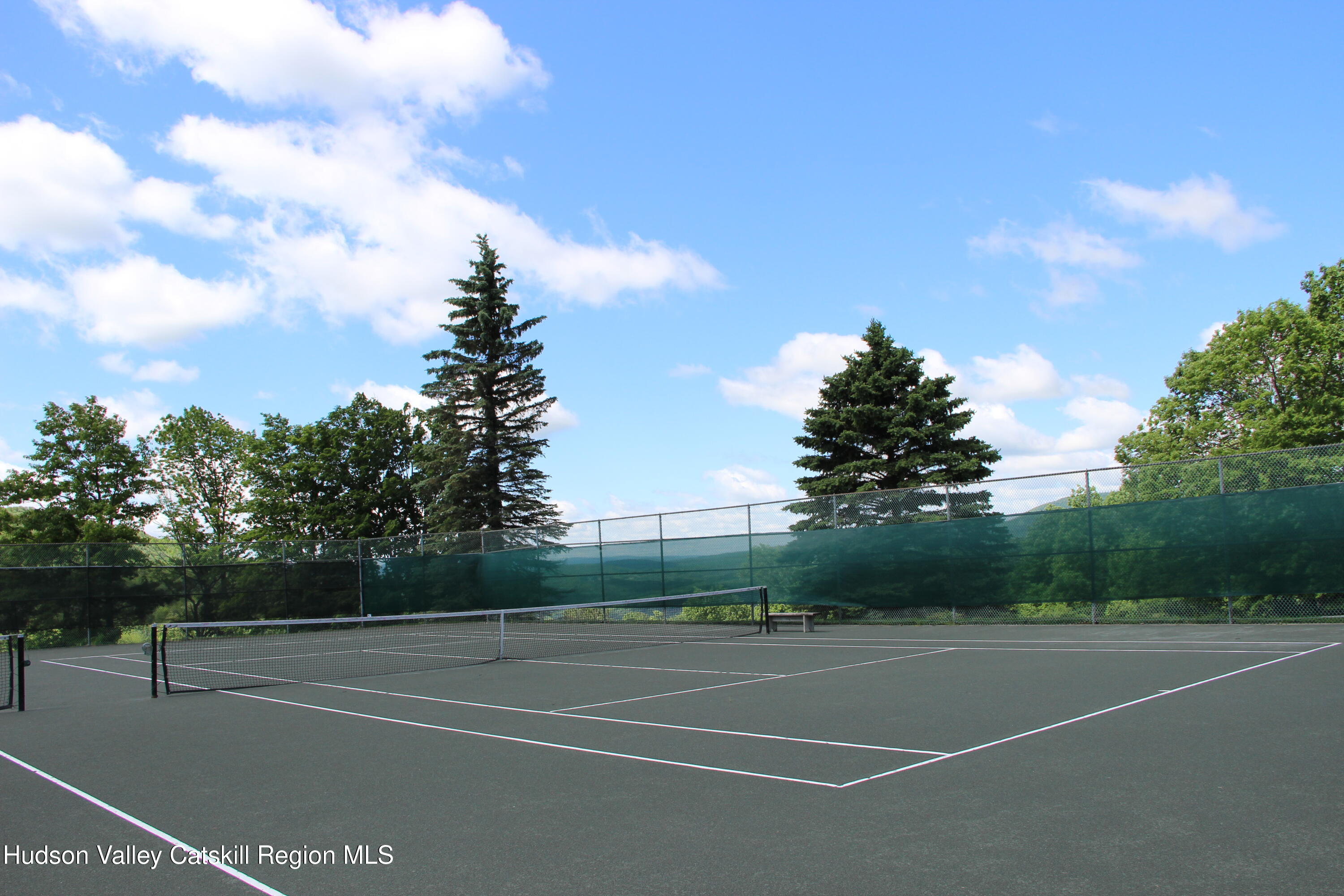 260 Pines Drive, Unit 82 Roxbury, NY 12421 - Photo 6 of 31 a view of a tennis court