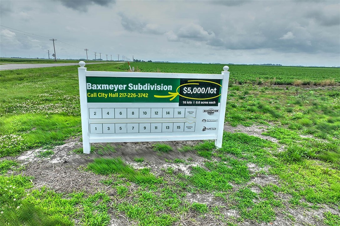Lot 2 Baxmeyer Lane Assumption, IL 62510 - Photo 8 of 8