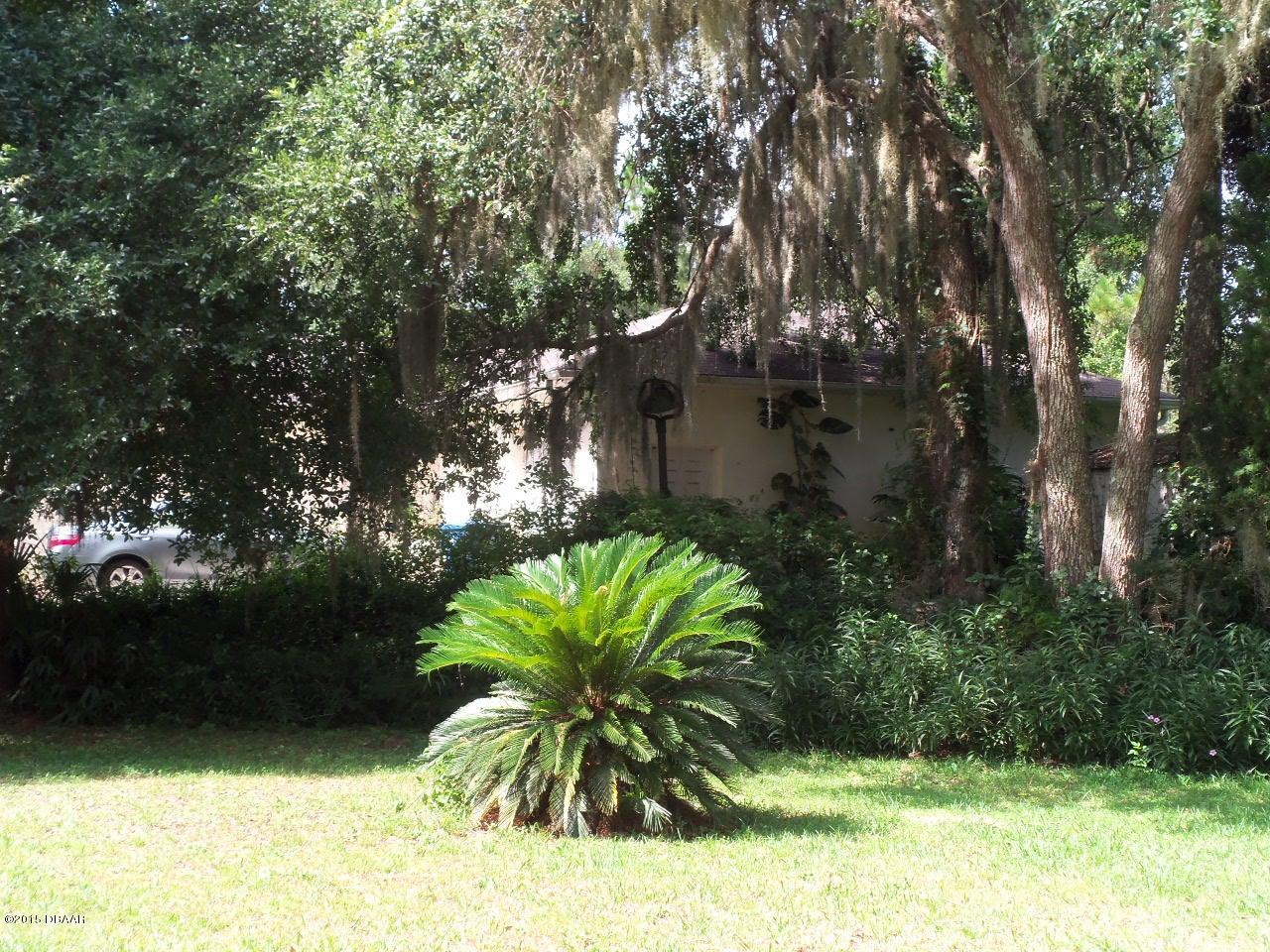 274 Clinton Cemetery Road Edgewater, FL 32141 - Photo 18 of 28 100_2492