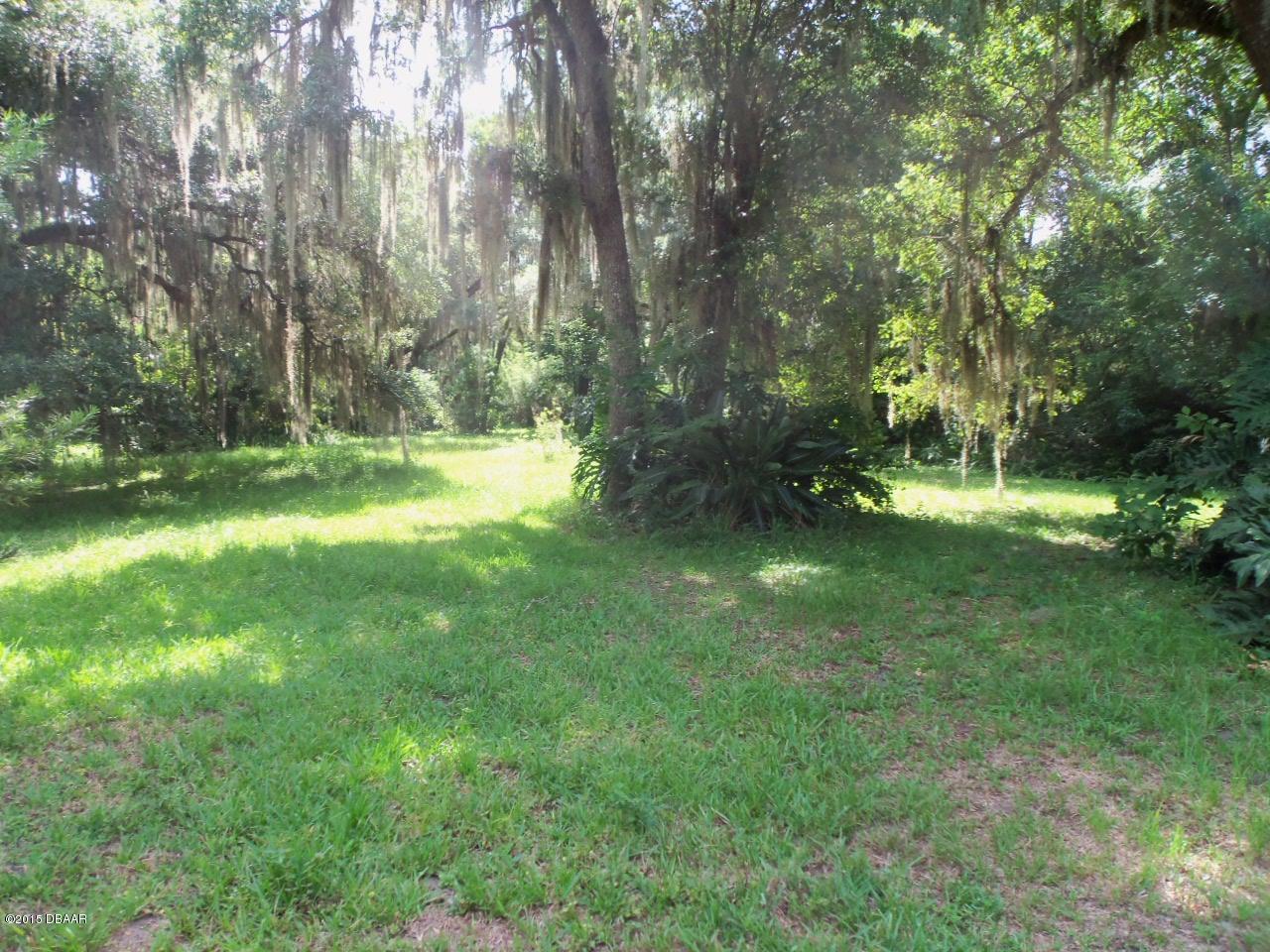274 Clinton Cemetery Road Edgewater, FL 32141 - Photo 4 of 28 100_2480