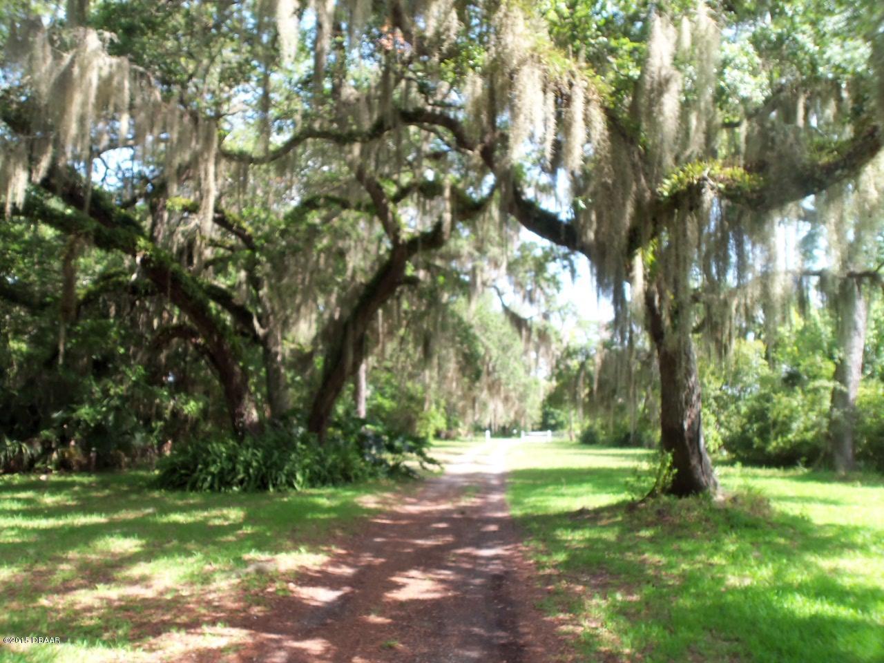 274 Clinton Cemetery Road Edgewater, FL 32141 - Photo 10 of 28 100_2483