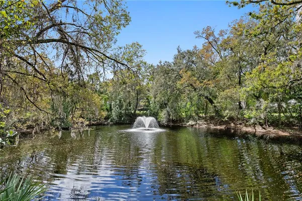 $3,300,000 | 16204 Sierra De Avila, Tampa, FL 33613