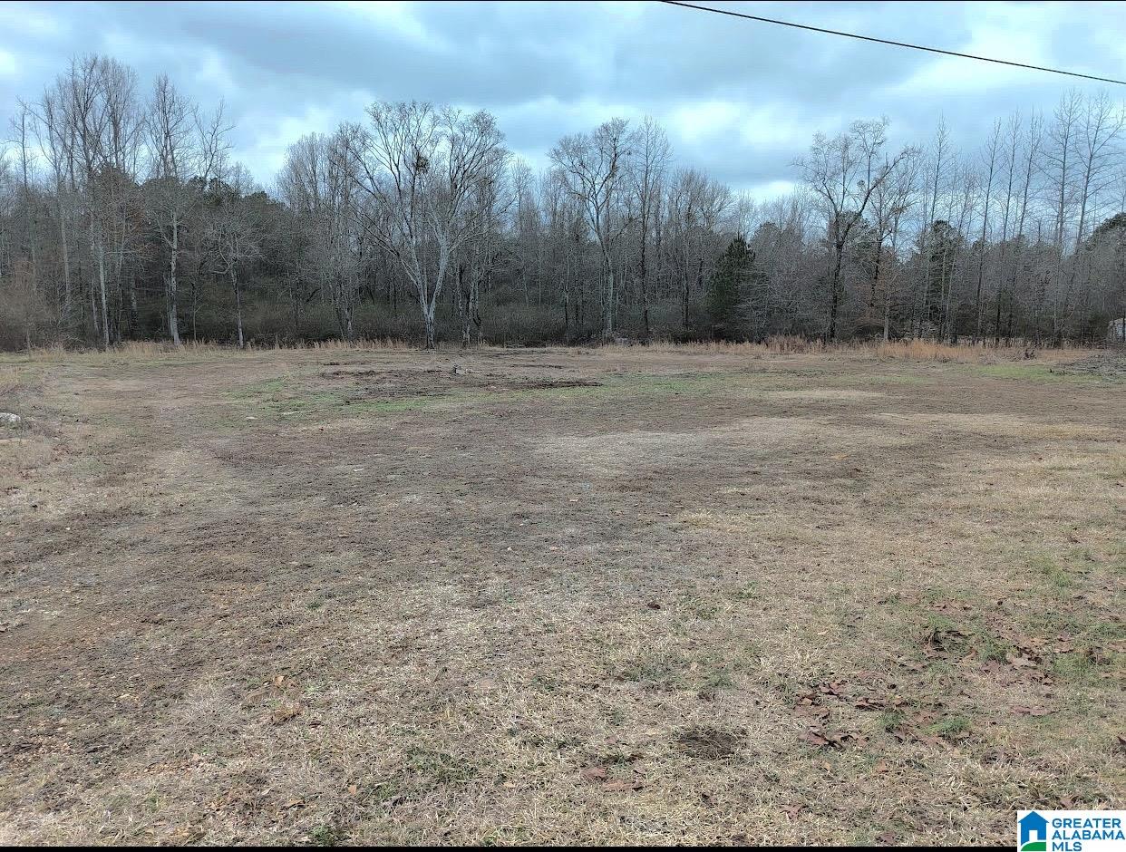 6035 Redmill Saragossa Road Nauvoo, AL 35578 - Photo 3 of 6