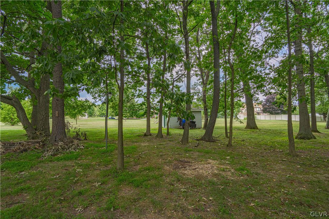 694 Bok Road Nazareth, PA 18064 - Photo 39 of 44 a view of a trees in a yard