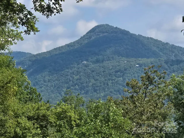 a view of a dry yard with mountains in the background