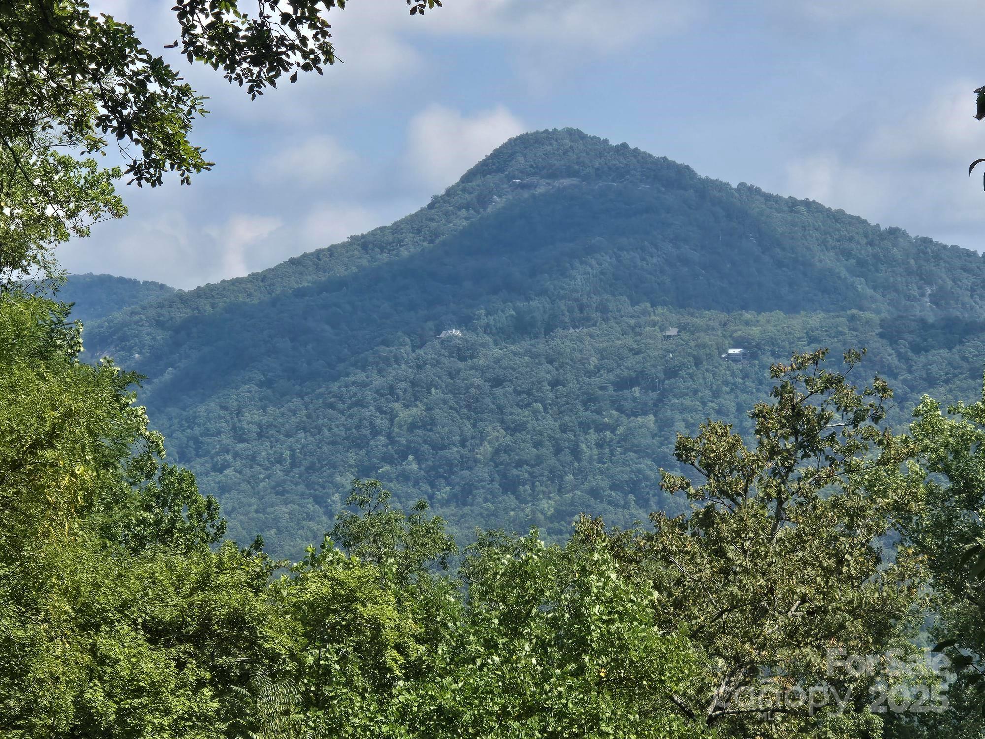 352 Bolt Road Lake Lure, NC 28746 - Photo 14 of 31 a view of a dry yard with mountains in the background