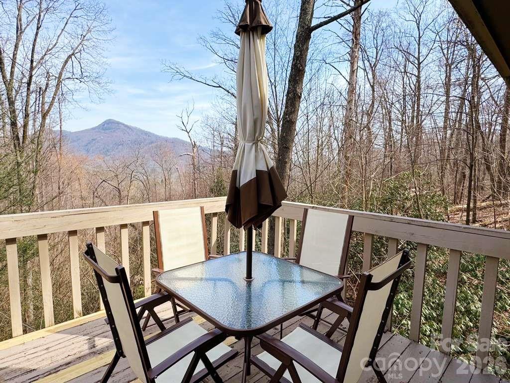 352 Bolt Road Lake Lure, NC 28746 - Photo 17 of 33 Gallery Image 17