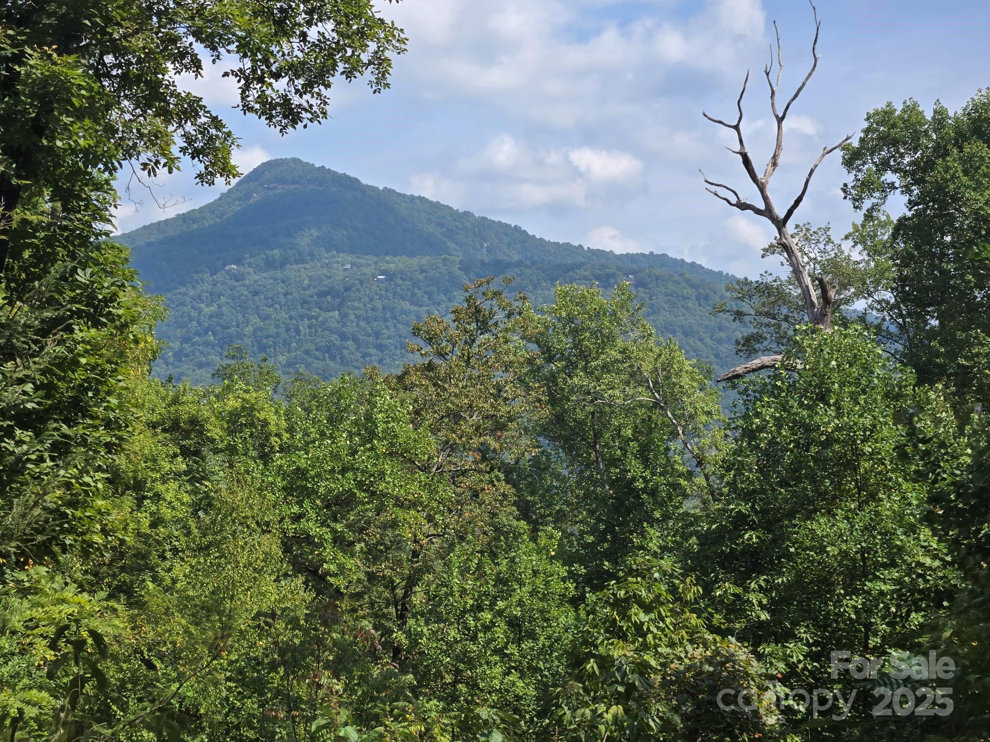 352 Bolt Road Lake Lure, NC 28746 - Photo 2 of 31 a view of a house with a yard