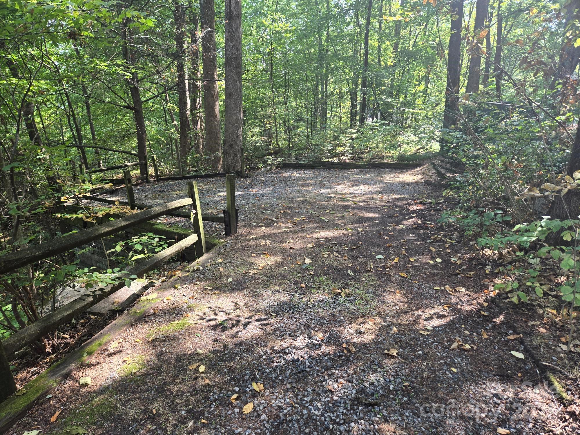 352 Bolt Road Lake Lure, NC 28746 - Photo 22 of 31 a view of a forest with trees