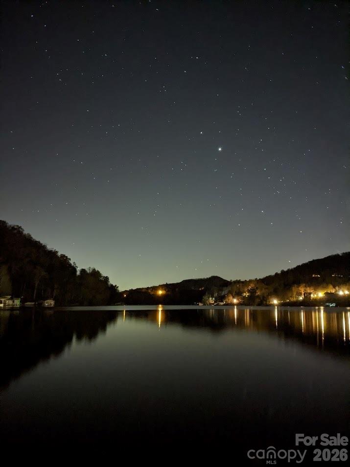 352 Bolt Road Lake Lure, NC 28746 - Photo 24 of 33 Gallery Image 24