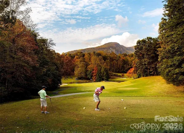 a view of a lush green hillside and a mountain
