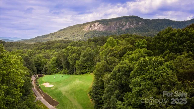a view of a lush green hillside and a mountain