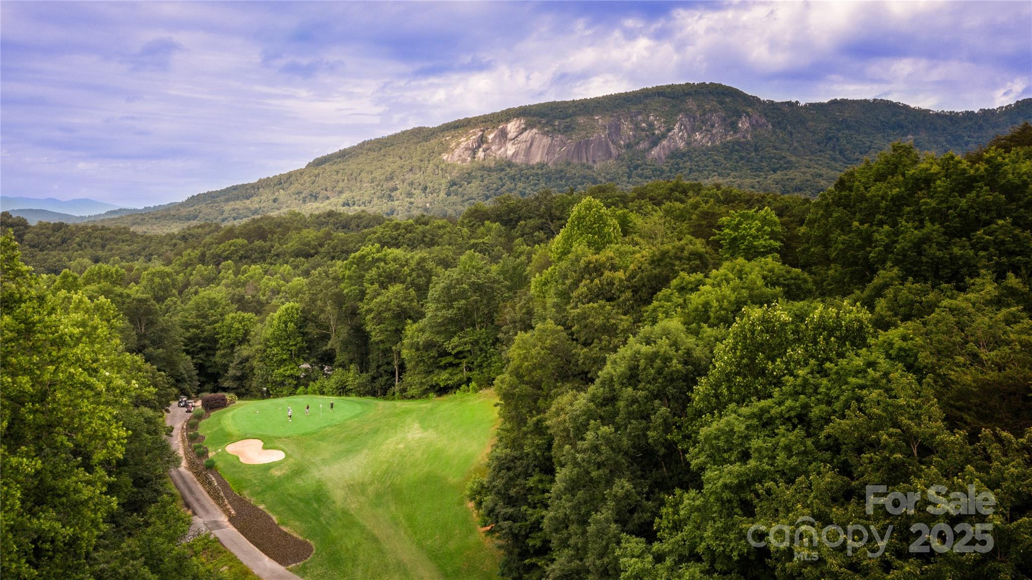 352 Bolt Road Lake Lure, NC 28746 - Photo 26 of 31 a view of a lush green hillside and a mountain