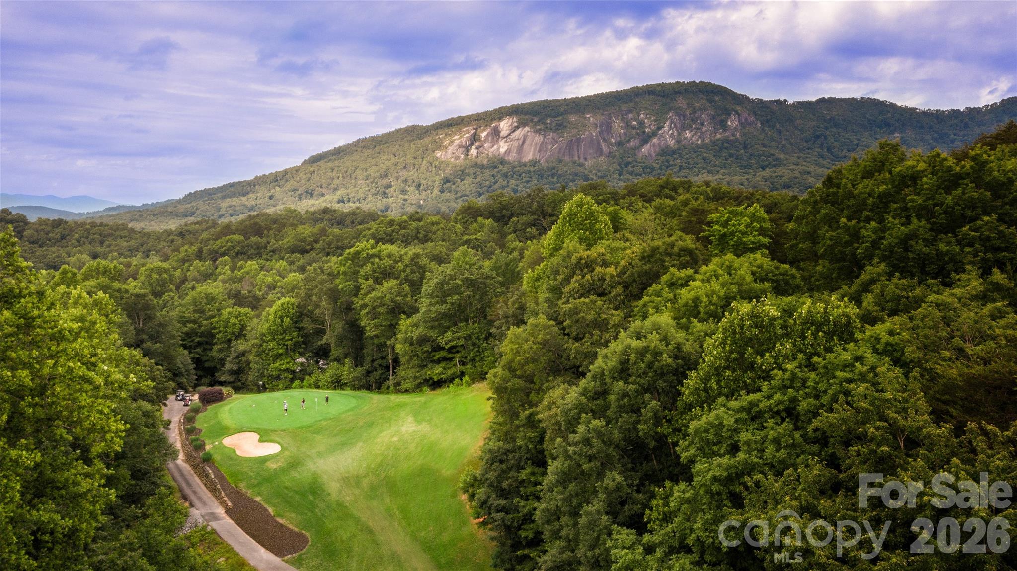 352 Bolt Road Lake Lure, NC 28746 - Photo 26 of 33 Gallery Image 26