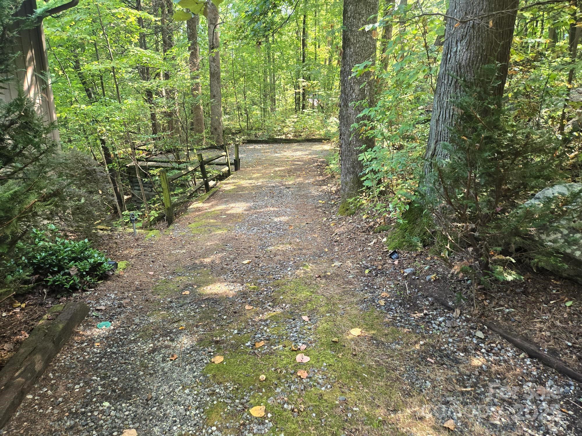 352 Bolt Road Lake Lure, NC 28746 - Photo 4 of 31 a view of a yard with plants and large trees