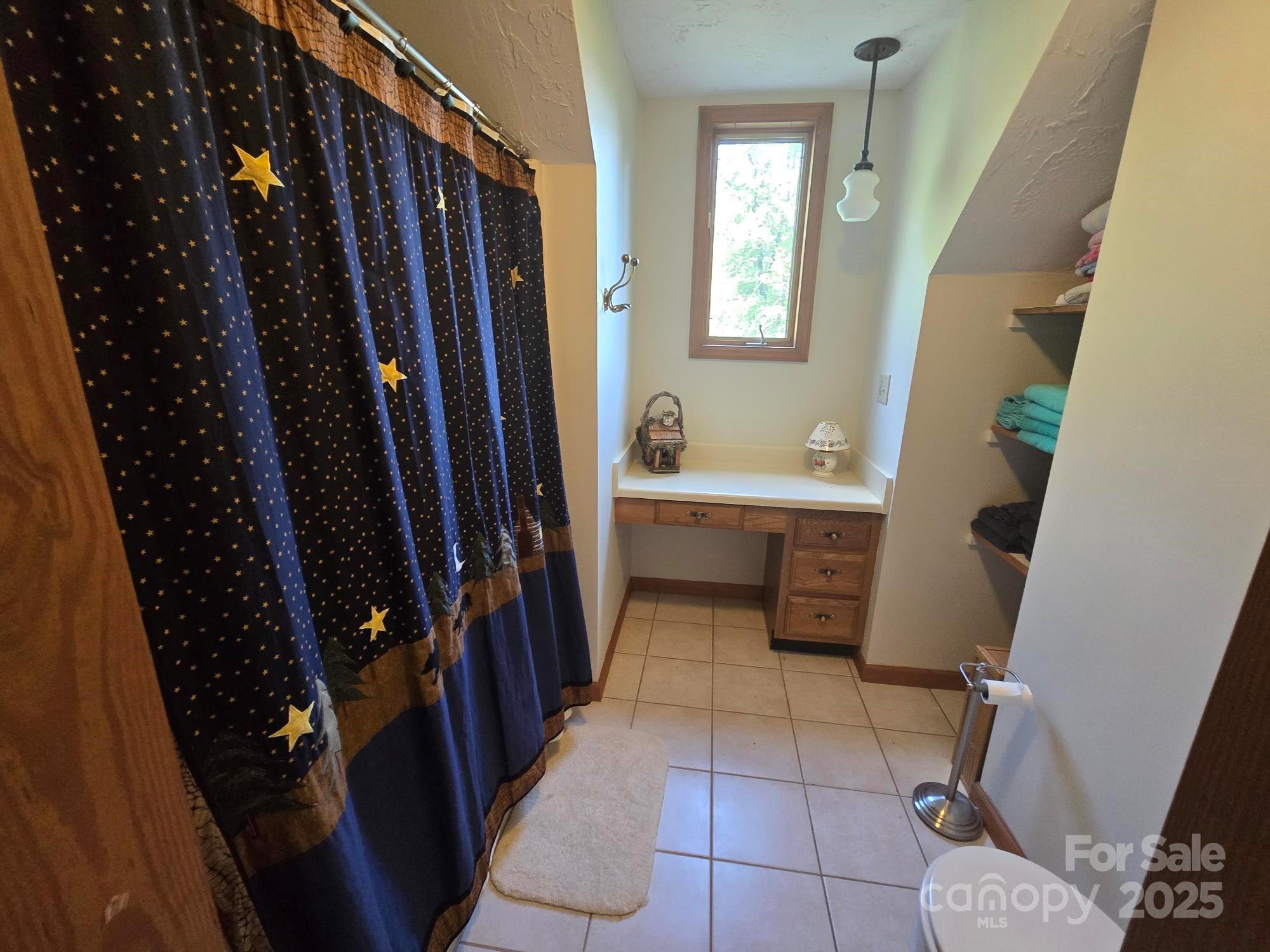 352 Bolt Road Lake Lure, NC 28746 - Photo 9 of 31 a bathroom with a sink a toilet and a shower