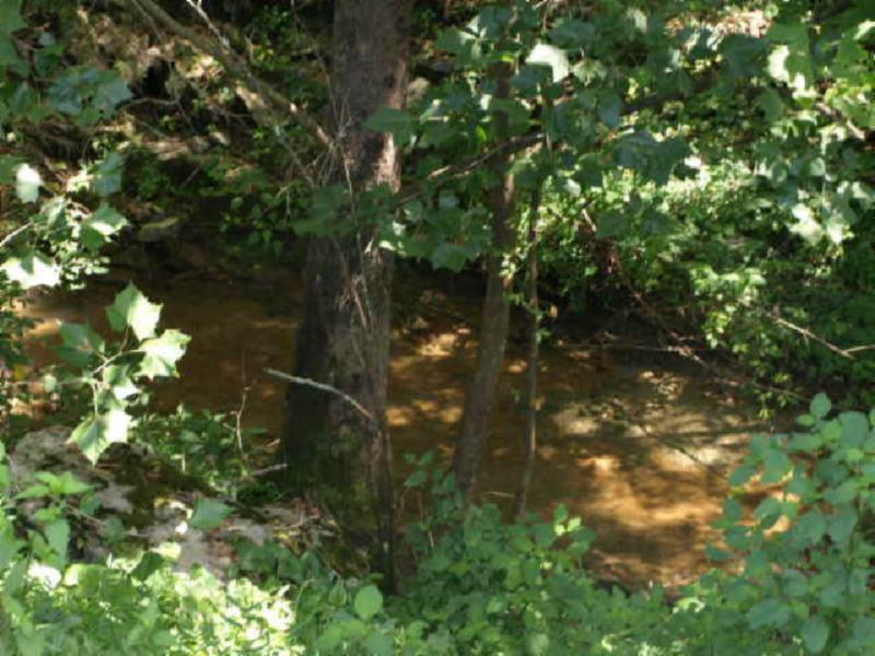 62 Old Stone Road Hilham, TN 38568 - Photo 22 of 30 a view of tree