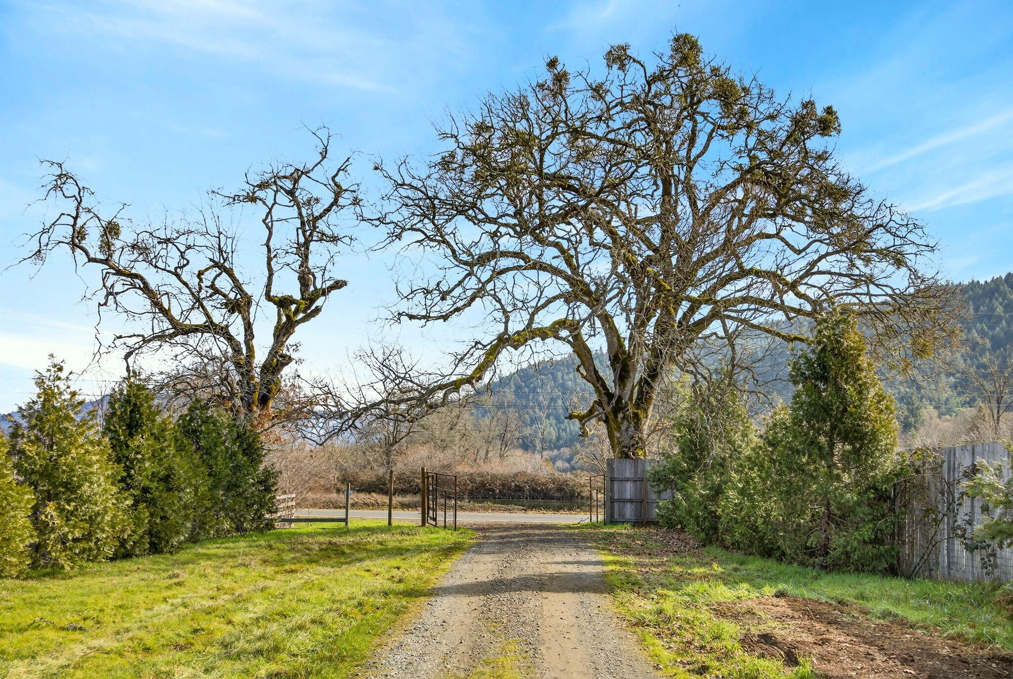 320 Caves Camp Road Williams, OR 97544 - Photo 100 of 101 ApxCCR00125