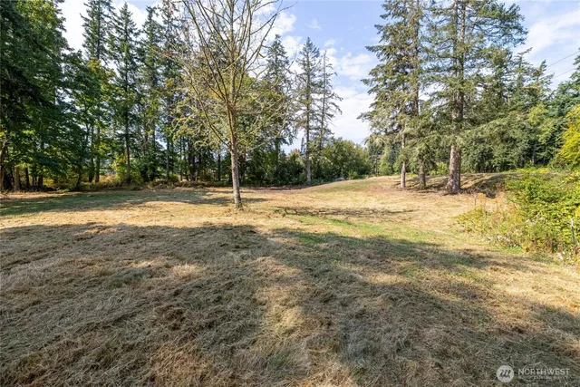 a view of a yard with trees
