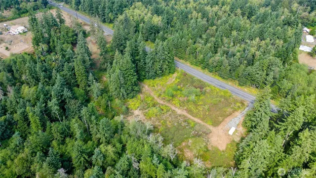 a view of a yard with plants