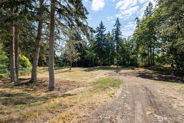 a view of a yard with trees