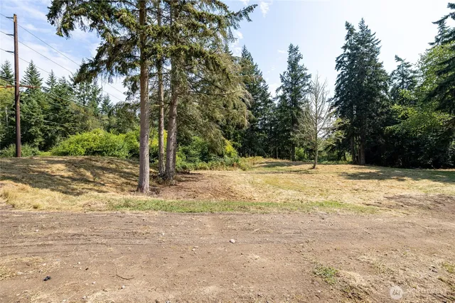 a view of yard with trees