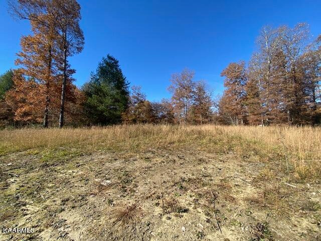915 Burrville Road Sunbright, TN 37872 - Photo 33 of 45 Gallery Image 33