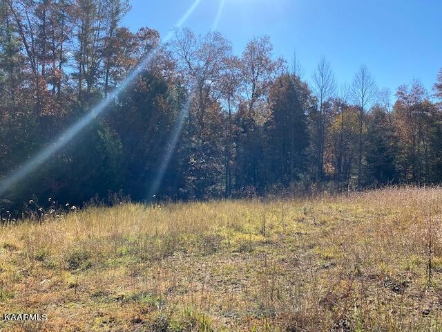 915 Burrville Road Sunbright, TN 37872 - Photo 36 of 45 Gallery Image 36