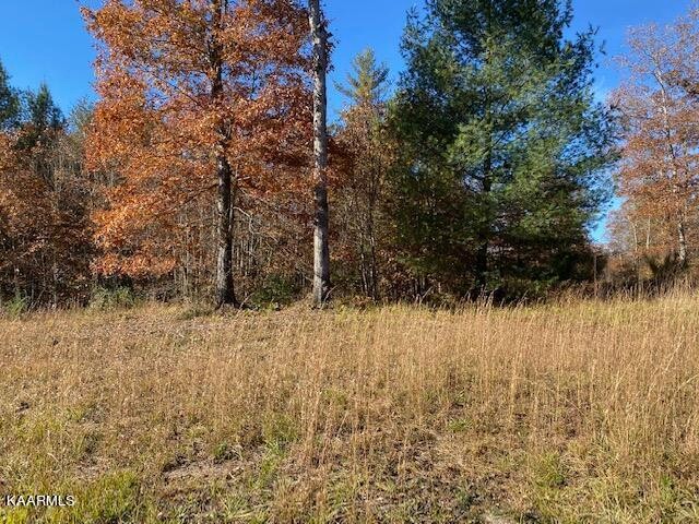 915 Burrville Road Sunbright, TN 37872 - Photo 39 of 45 Gallery Image 39