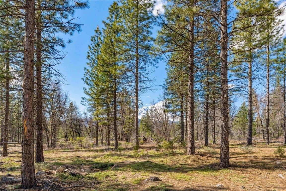 Lot West Intake Springs Road McCloud, CA 96057 - Photo 10 of 18 Gallery Image 10