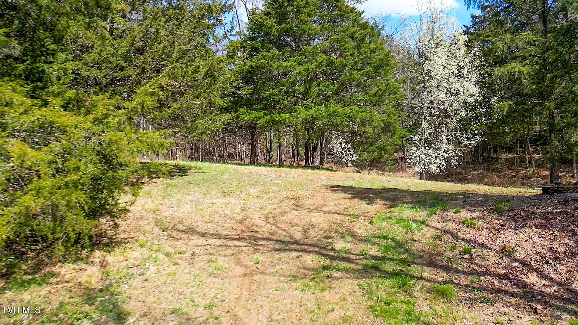 Tbd Stone Dam Road, Unit 2 Chuckey, TN 37641 - Photo 11 of 32 JK-11