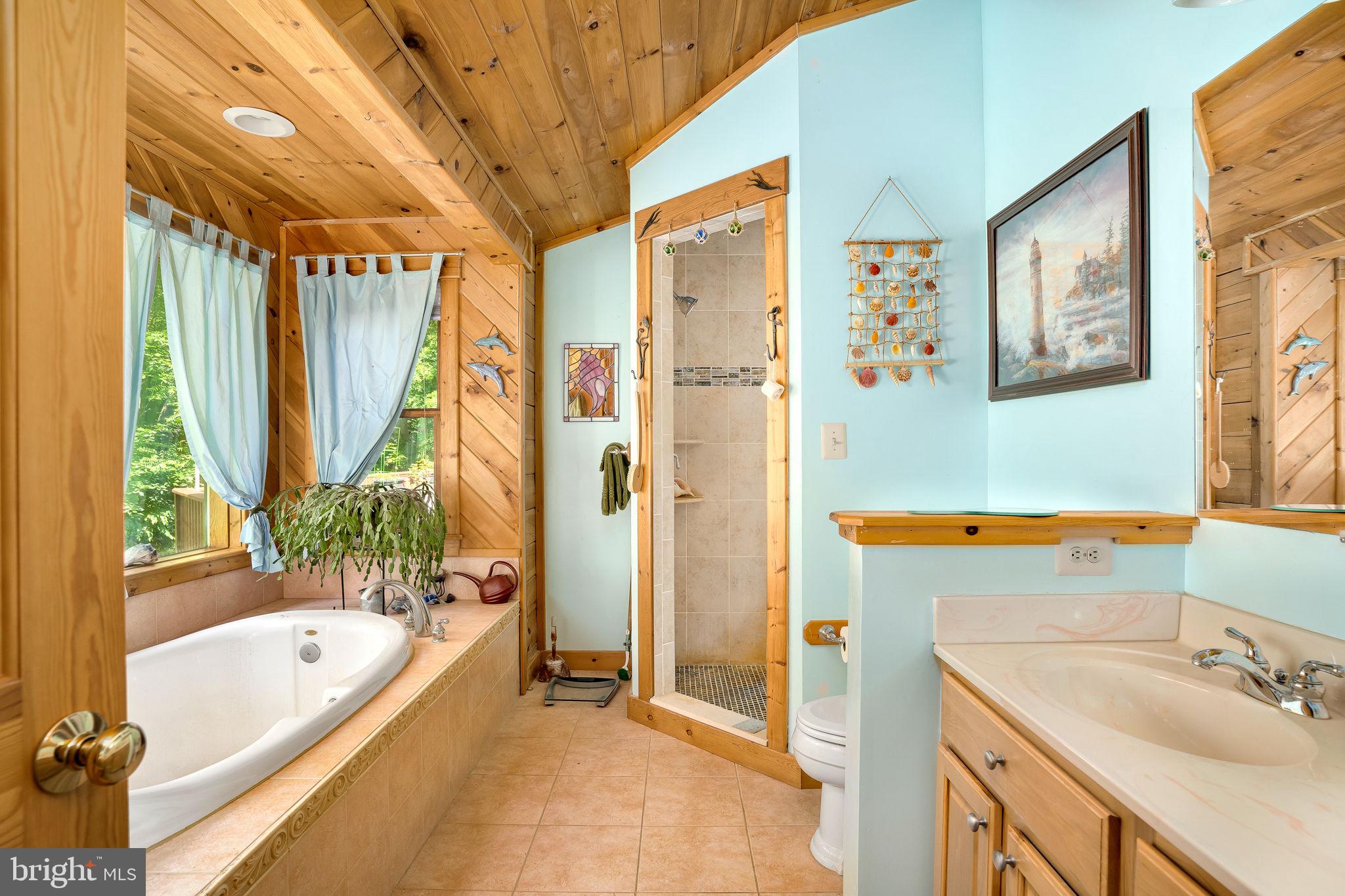 938 Fetchett Road Bentonville, VA 22610 - Photo 13 of 29 Primary bath with separate shower.