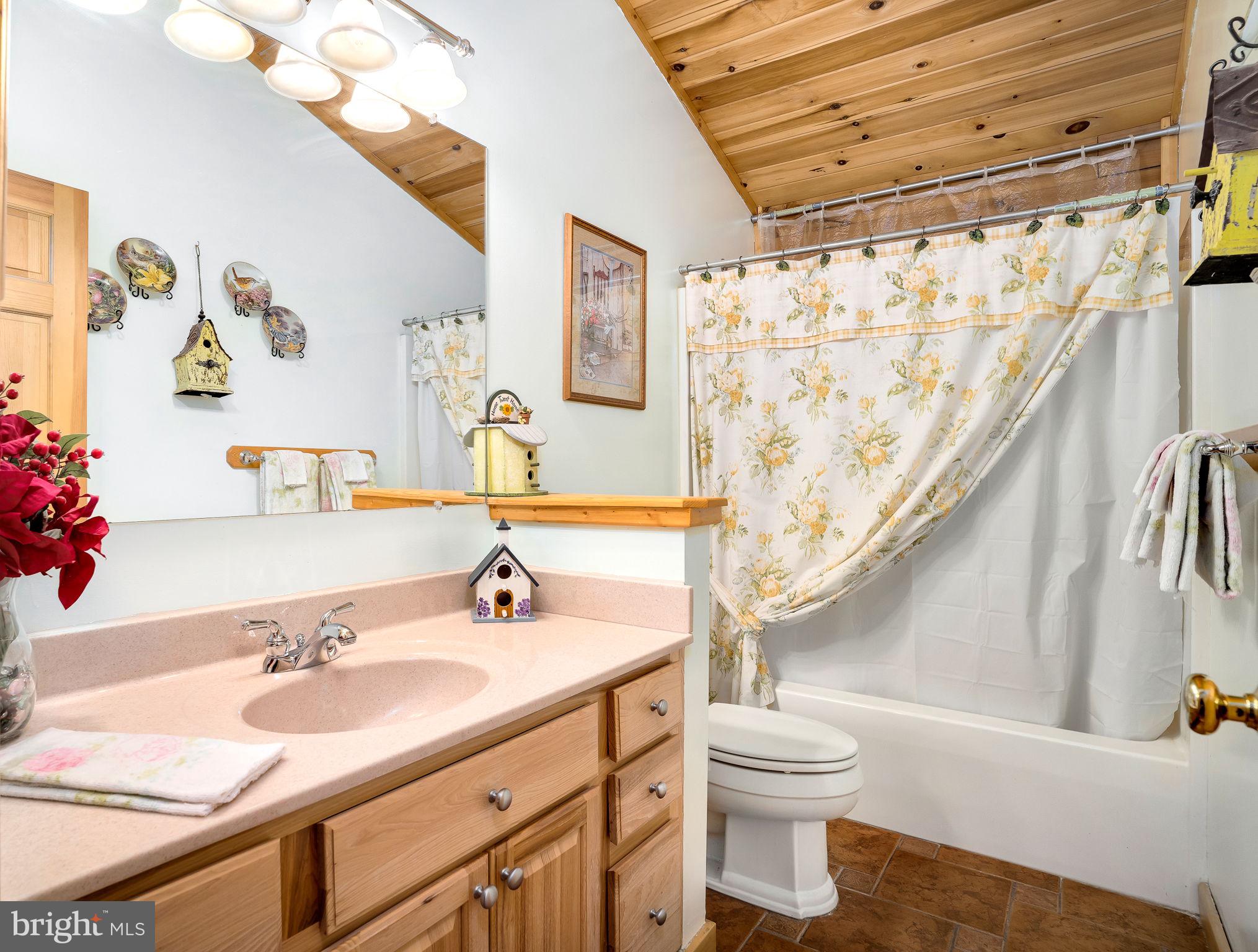938 Fetchett Road Bentonville, VA 22610 - Photo 16 of 29 2nd Main level bath