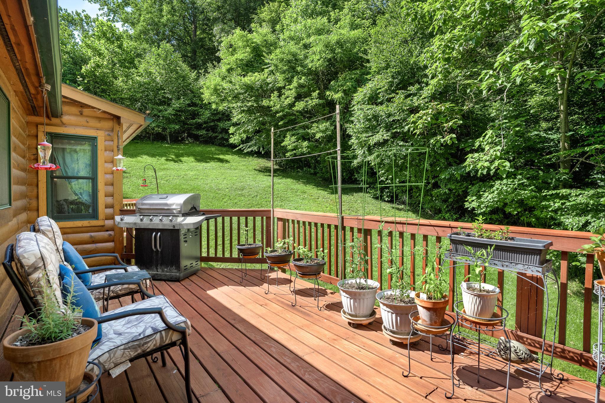 938 Fetchett Road Bentonville, VA 22610 - Photo 22 of 29 Deck off dining room