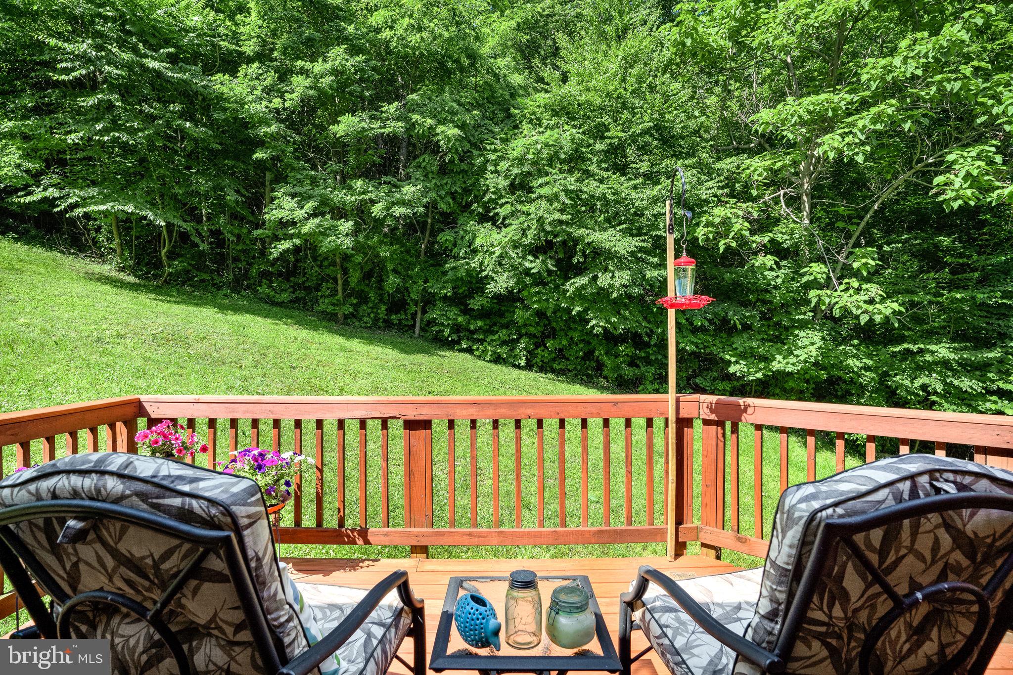 938 Fetchett Road Bentonville, VA 22610 - Photo 23 of 29 Deck