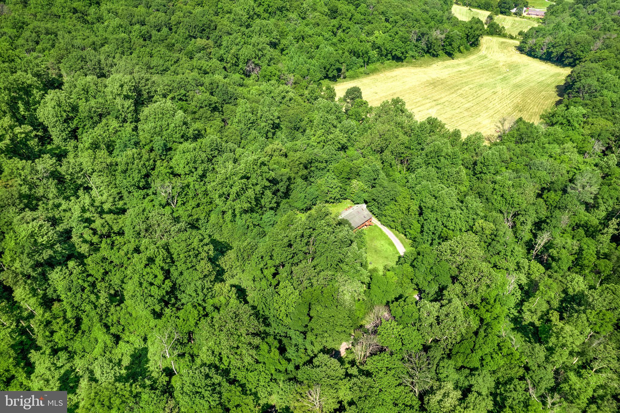 938 Fetchett Road Bentonville, VA 22610 - Photo 26 of 29 2 very private acres